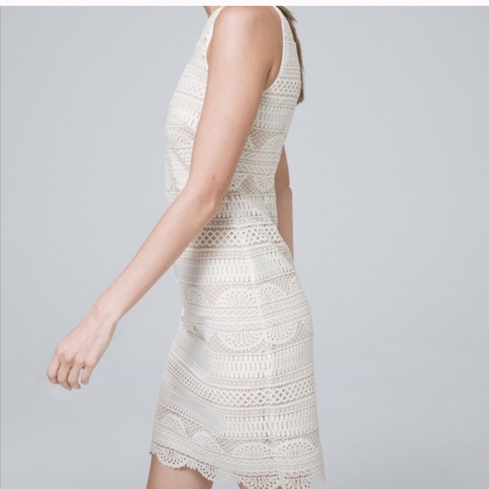 White House Black Market Ivory Lace mini dress 8P